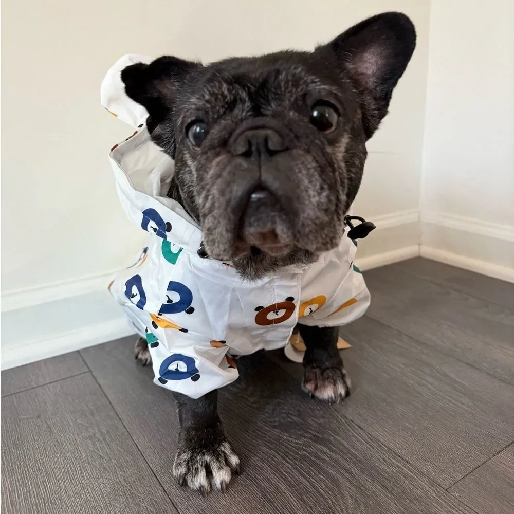 Stylish Dog Raincoat with Bear Print